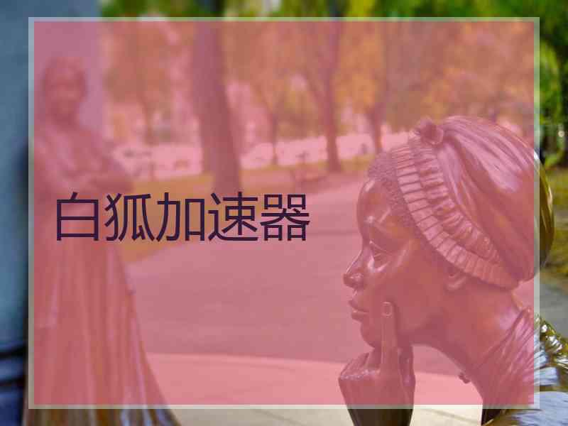 白狐加速器