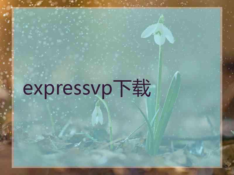 expressvp下载