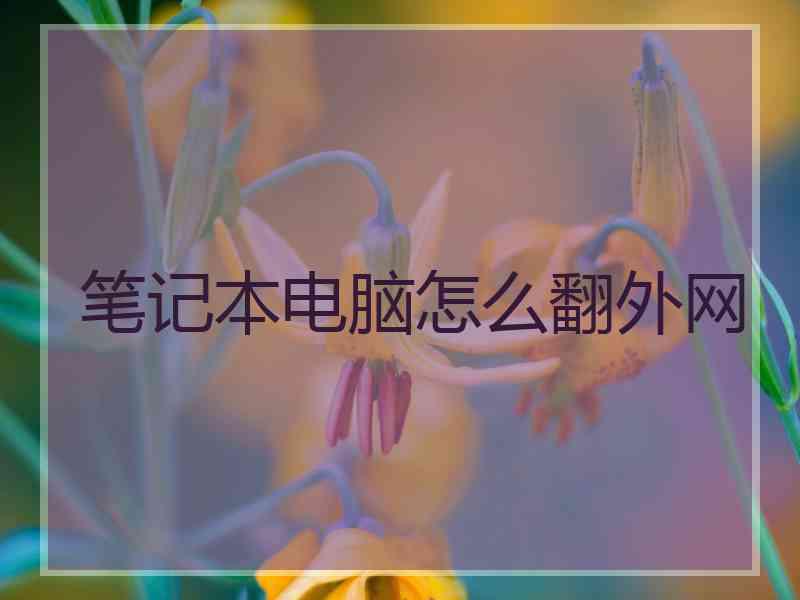 笔记本电脑怎么翻外网