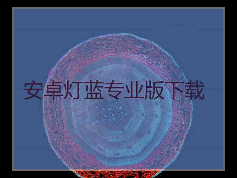 安卓灯蓝专业版下载