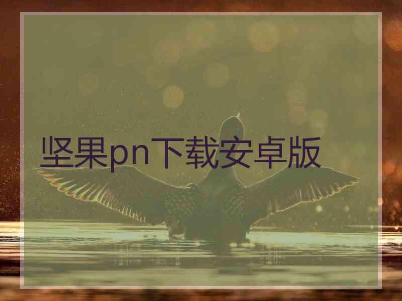 坚果pn下载安卓版