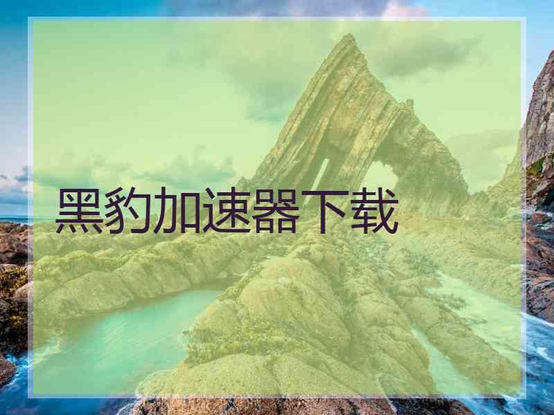 黑豹加速器下载