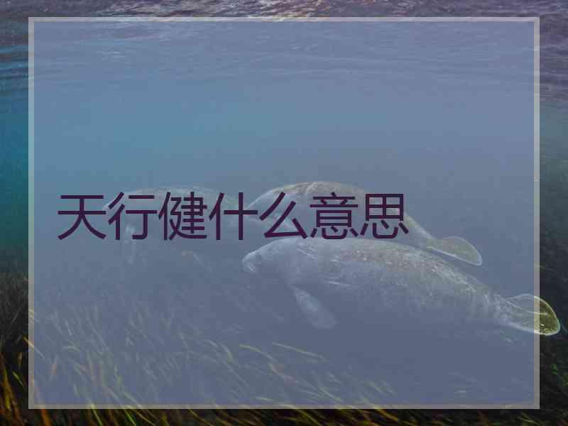 天行健什么意思