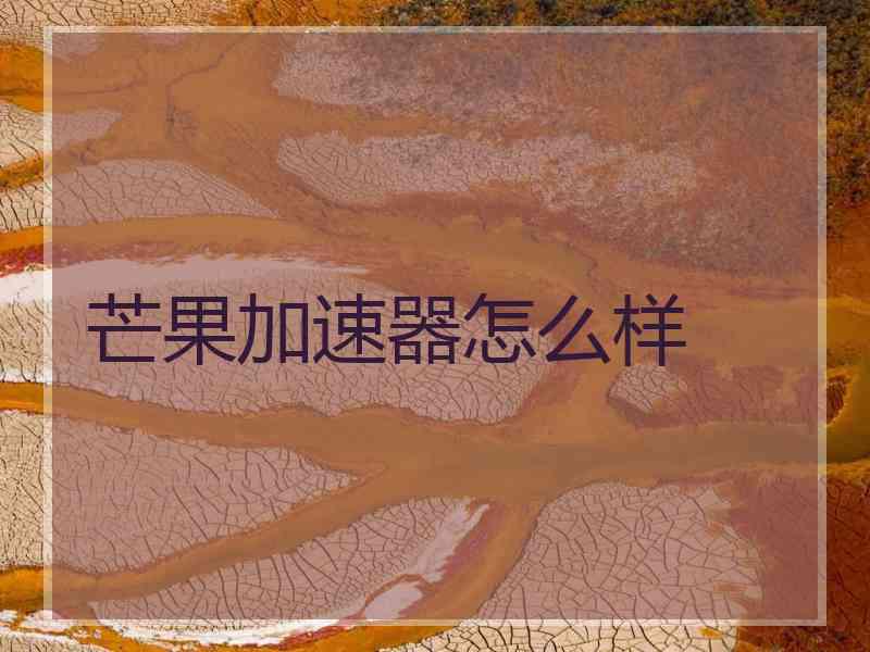 芒果加速器怎么样