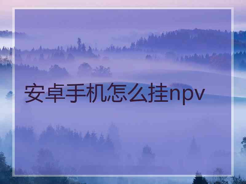 安卓手机怎么挂npv
