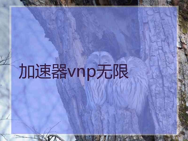 加速器vnp无限