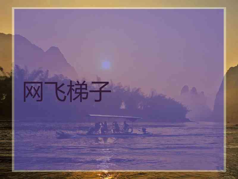 网飞梯子