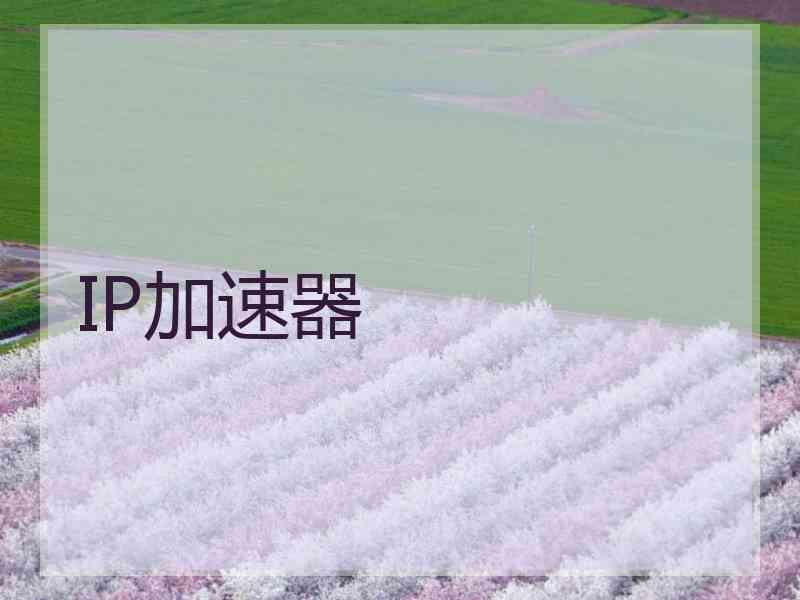 IP加速器