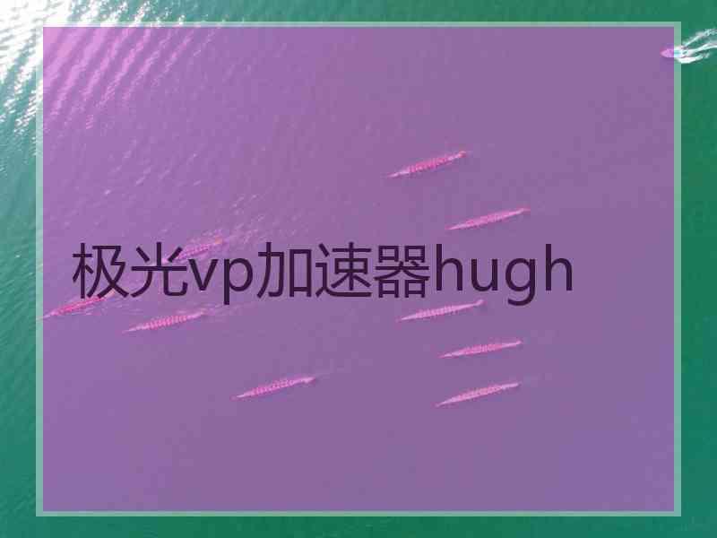极光vp加速器hugh