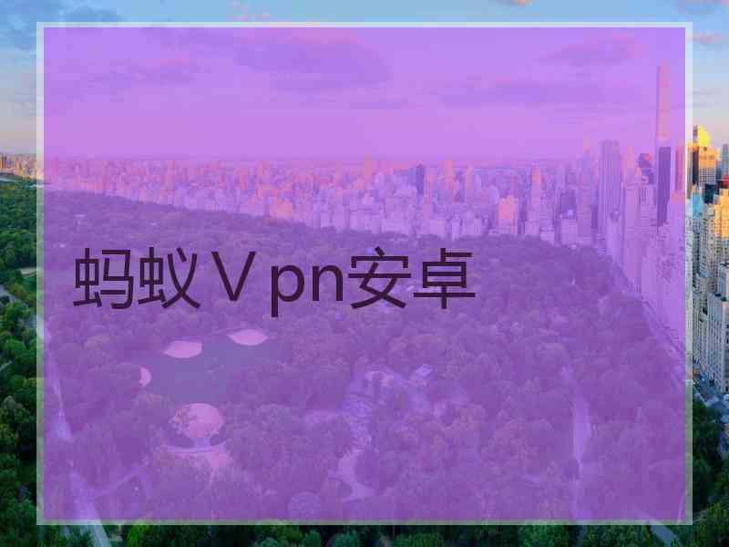 蚂蚁Ⅴpn安卓