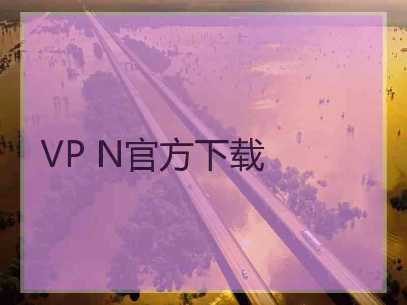 VP N官方下载