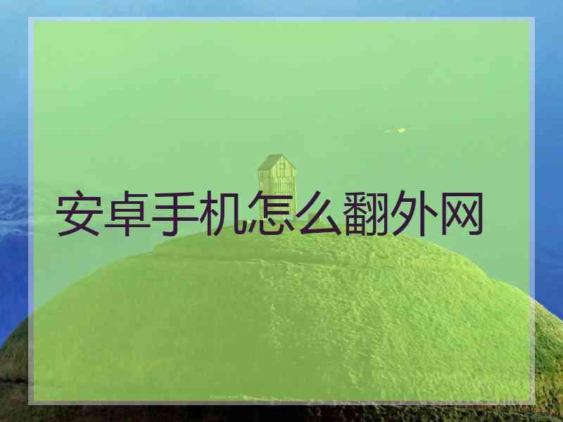 安卓手机怎么翻外网