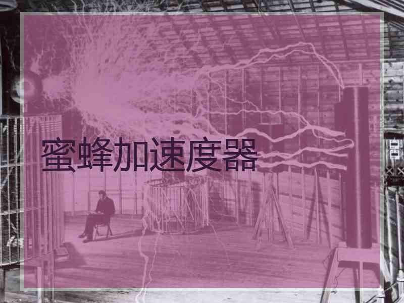 蜜蜂加速度器