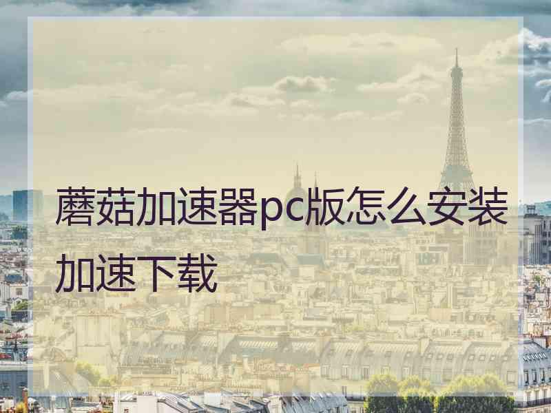 蘑菇加速器pc版怎么安装加速下载