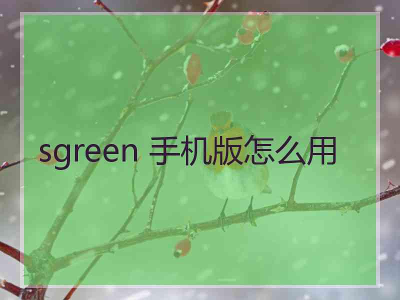 sgreen 手机版怎么用