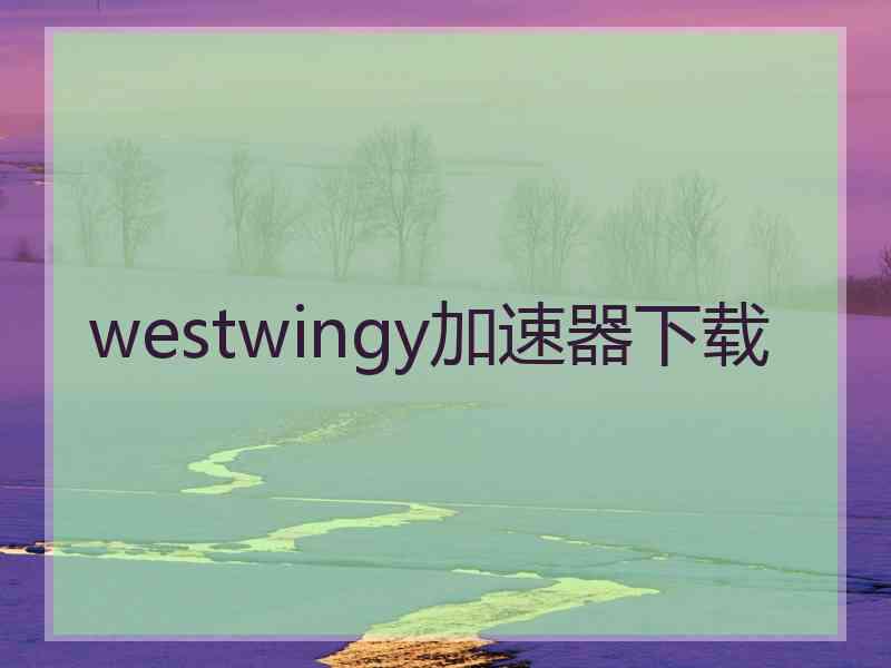 westwingy加速器下载