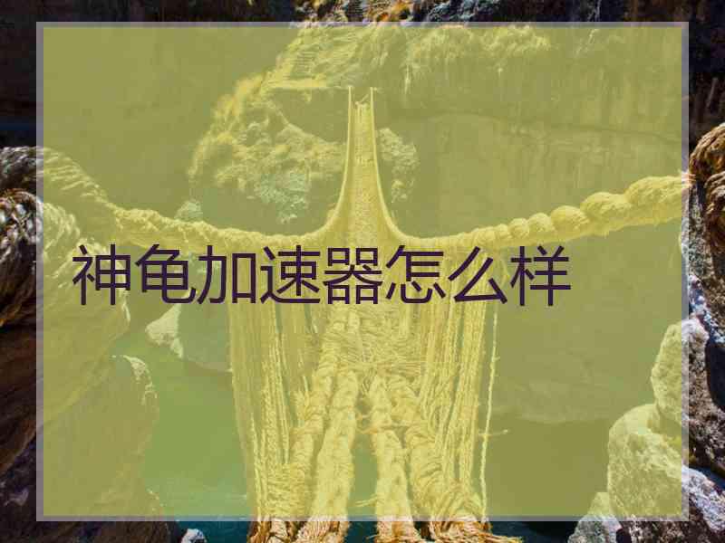 神龟加速器怎么样