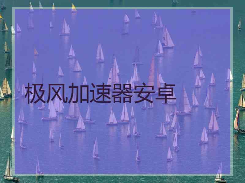极风加速器安卓