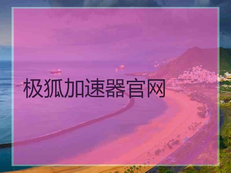 极狐加速器官网