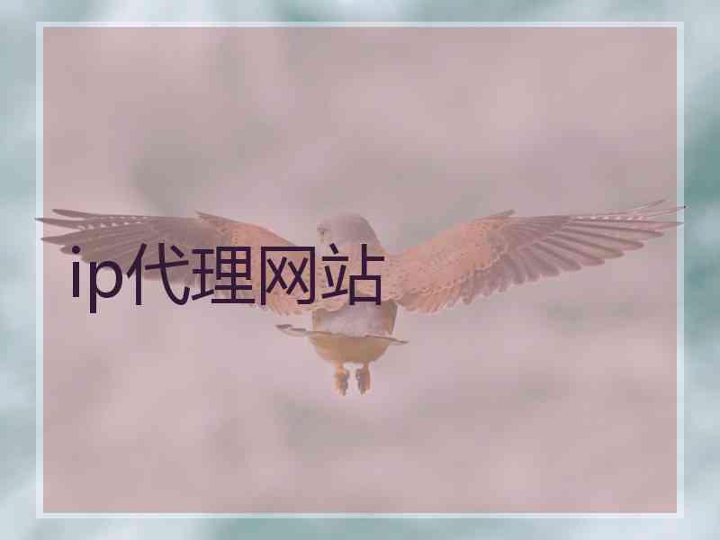 ip代理网站