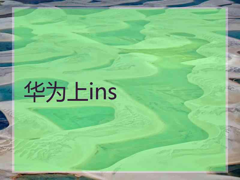 华为上ins