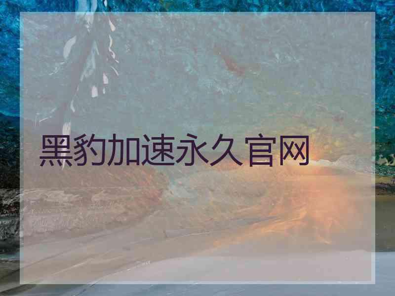 黑豹加速永久官网