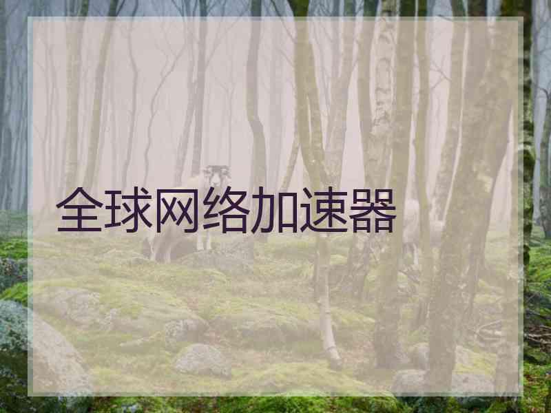 全球网络加速器