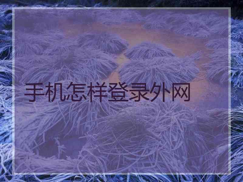手机怎样登录外网
