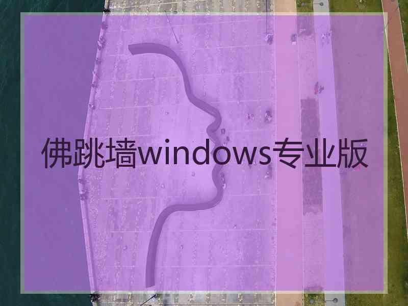 佛跳墙windows专业版