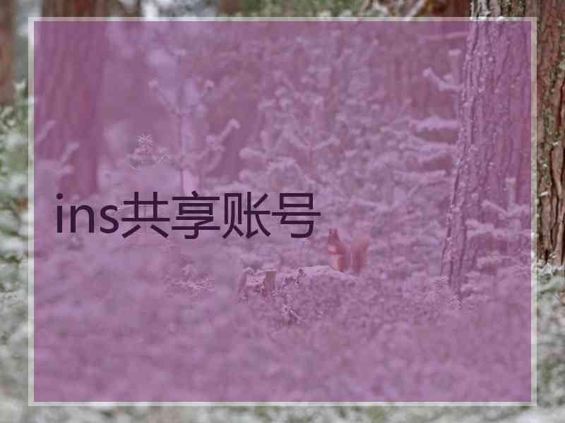 ins共享账号