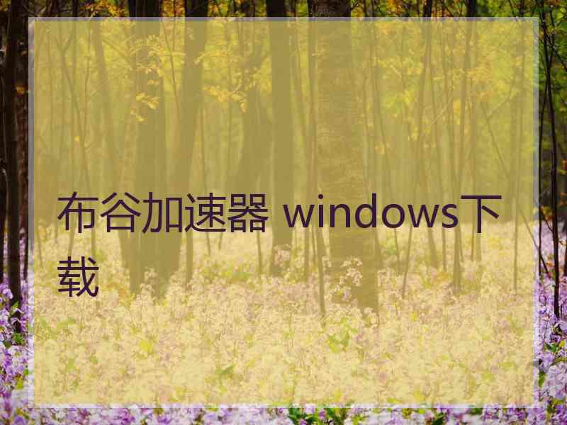 布谷加速器 windows下载