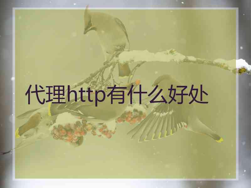 代理http有什么好处