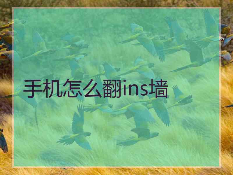 手机怎么翻ins墙