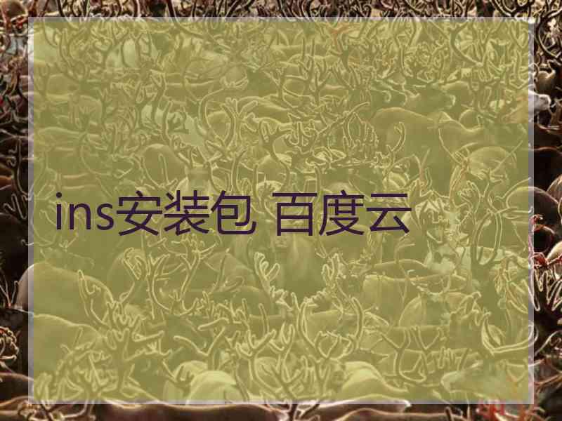 ins安装包 百度云