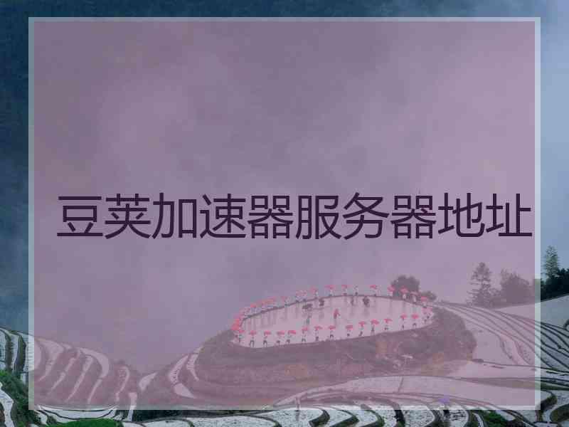 豆荚加速器服务器地址
