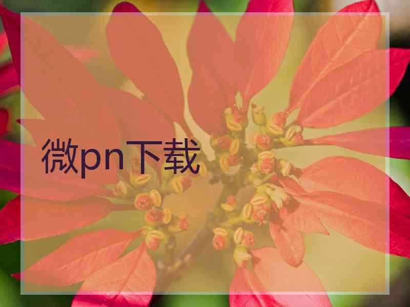 微pn下载