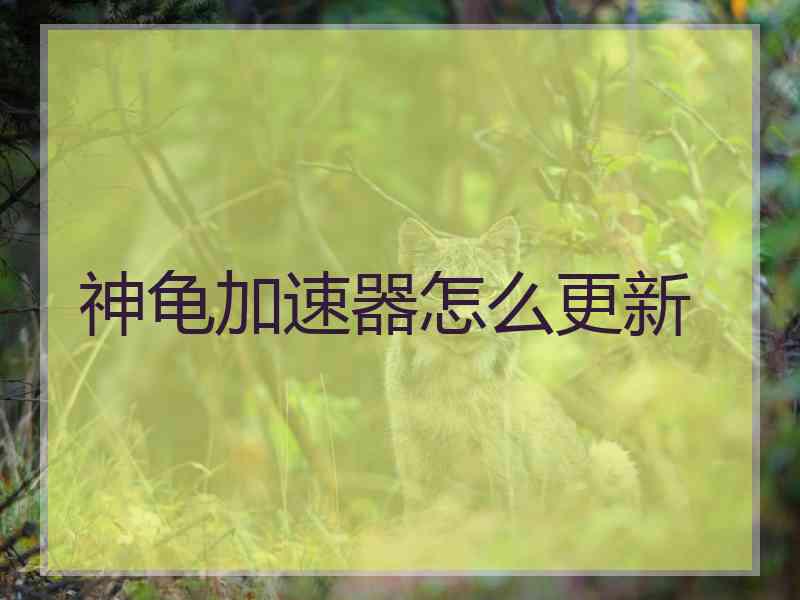 神龟加速器怎么更新