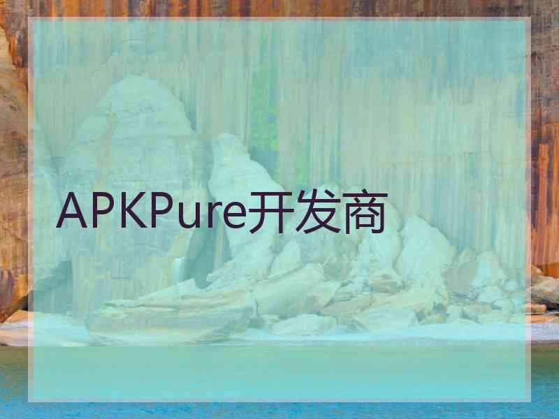 APKPure开发商