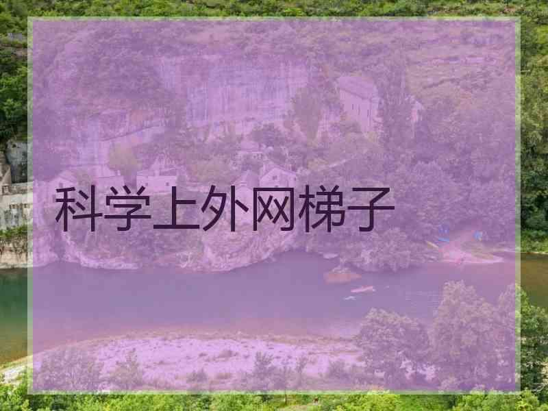 科学上外网梯子
