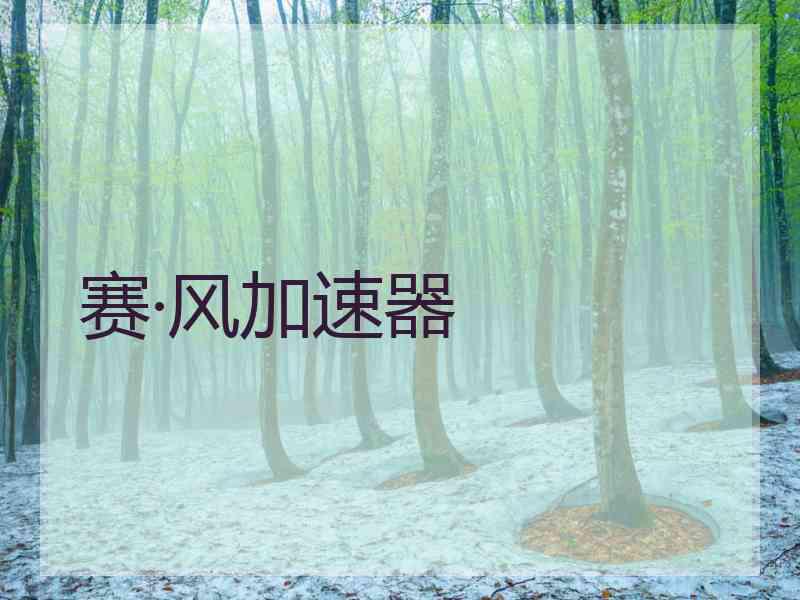 赛·风加速器