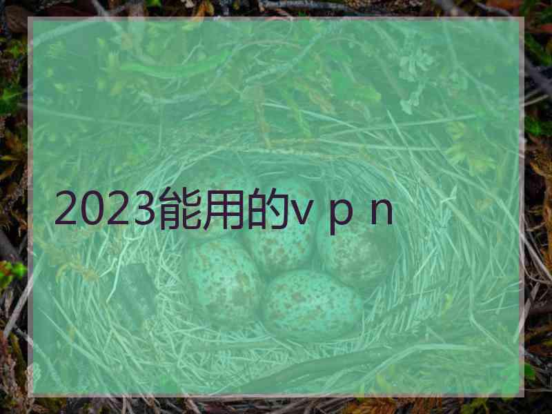 2023能用的v p n