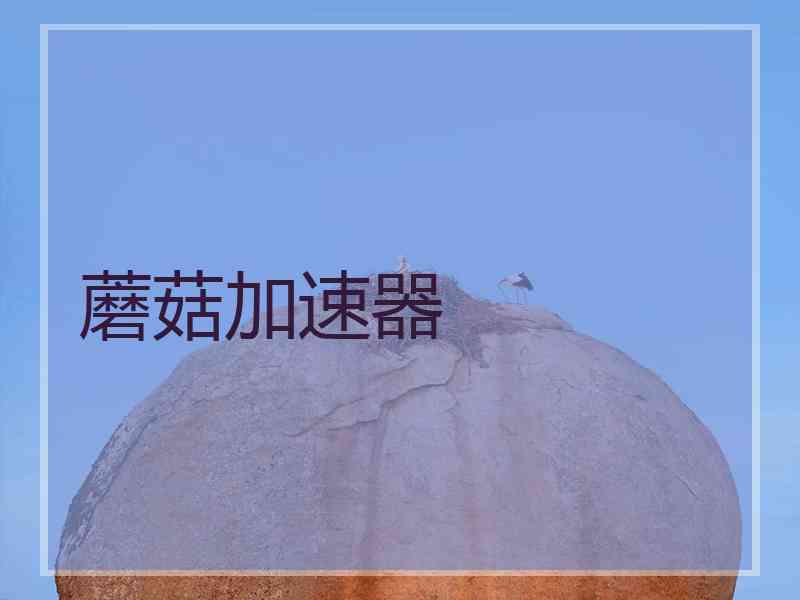 蘑菇加速器