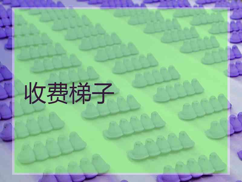收费梯子