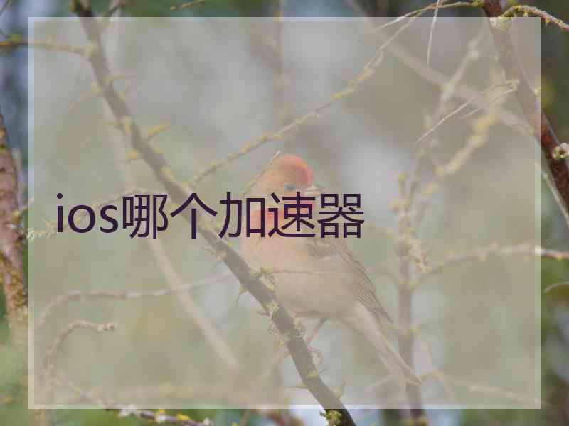 ios哪个加速器