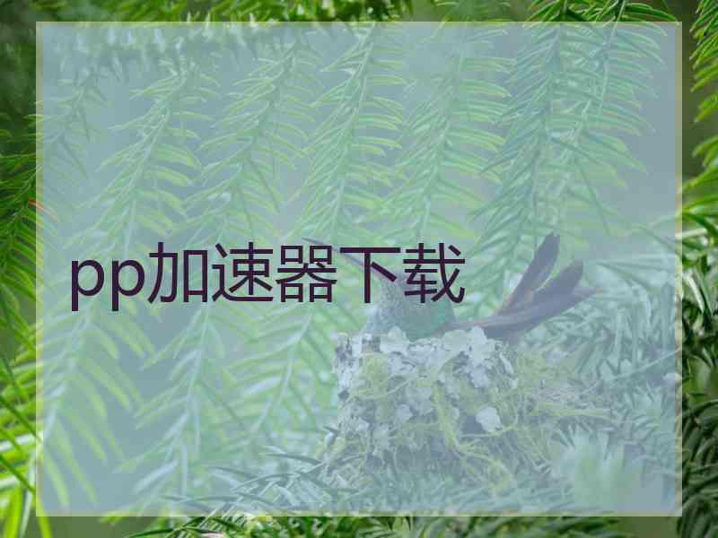 pp加速器下载