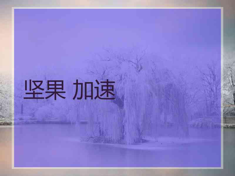 坚果 加速