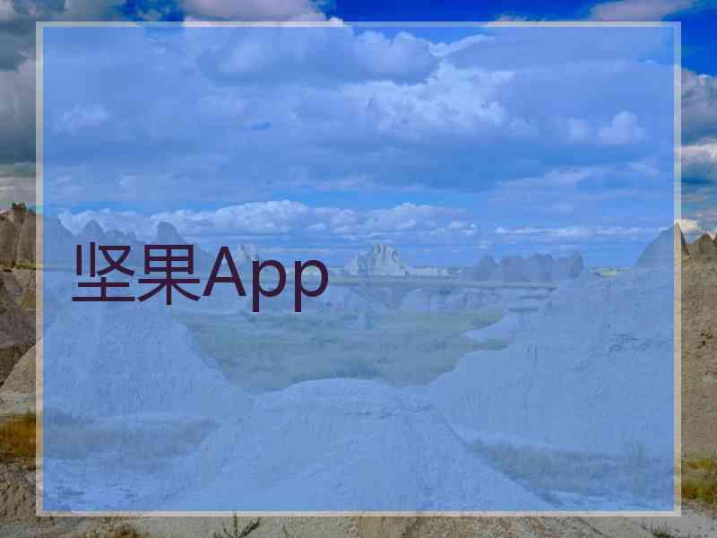 坚果App