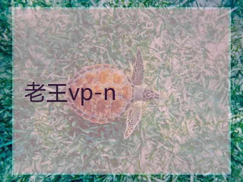 老王vp-n