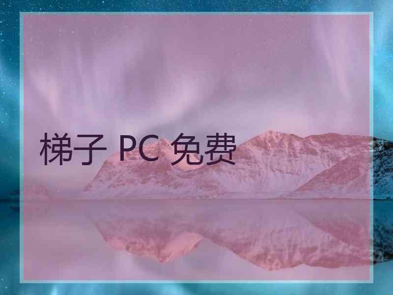 梯子 PC 免费