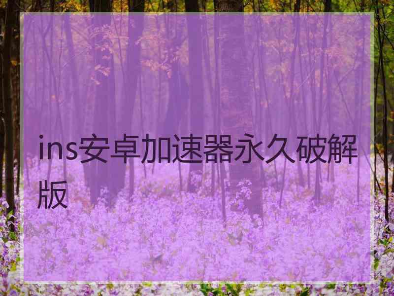 ins安卓加速器永久破解版